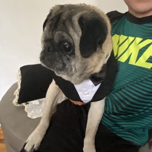 Fundraising Page: Janet Freund